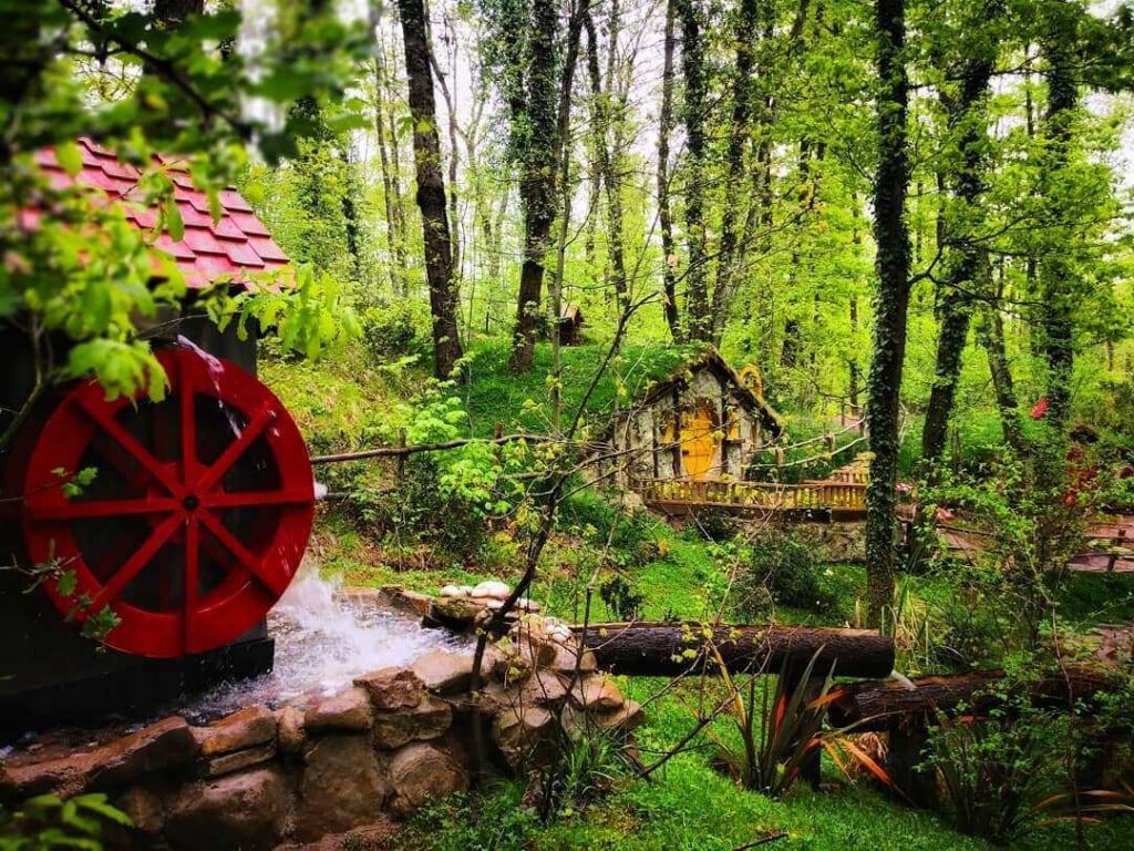 Ormanya Maşukiye Turu