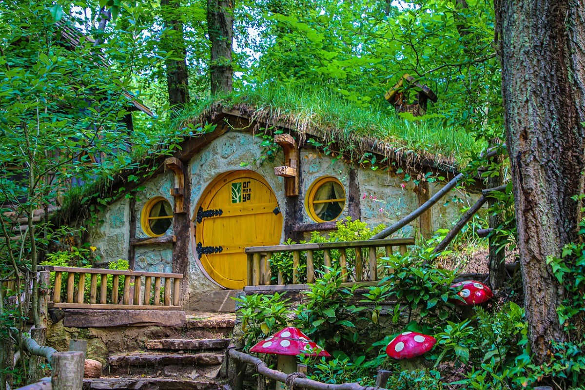 Tabiatın Kalbi Turu