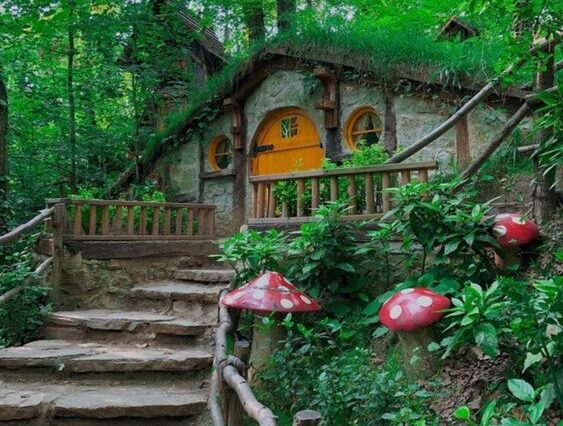 81cb7557c03a15c68b57a681856ea8b0 konya pinar tur